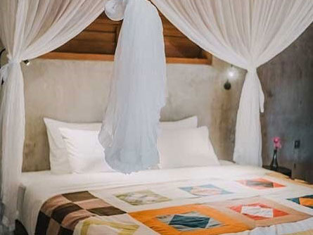 Mosquito Net